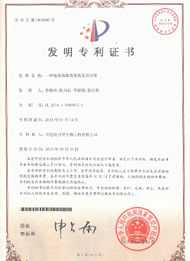 一种地顶孢霉诱变株及其应用